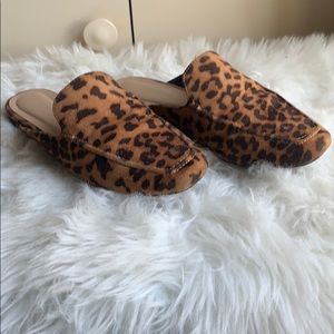 Leopard mules